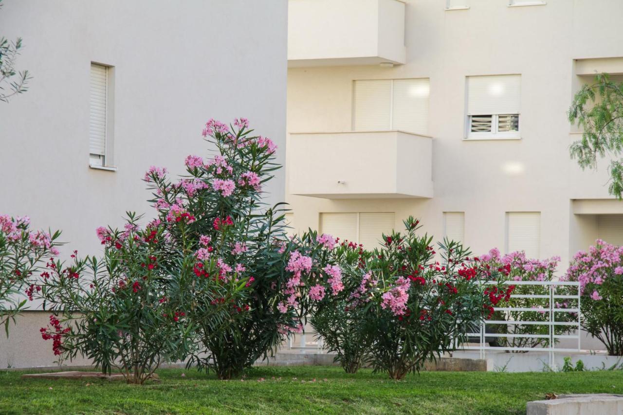 Luce Gold Apartment Zadar Exterior photo